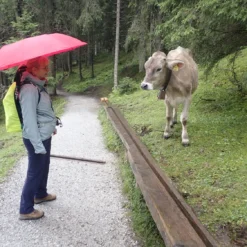 Euroschirm Telescope Handsfree - Parapluie -Viandoris Soldes Magasin euroschirm telescope handsfree regenschirm bf 1 9549b24e589be9f04121ee6155625db1 1