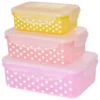 Rice Plastic Rectangular Food Boxes - Conservation De La Nourriture