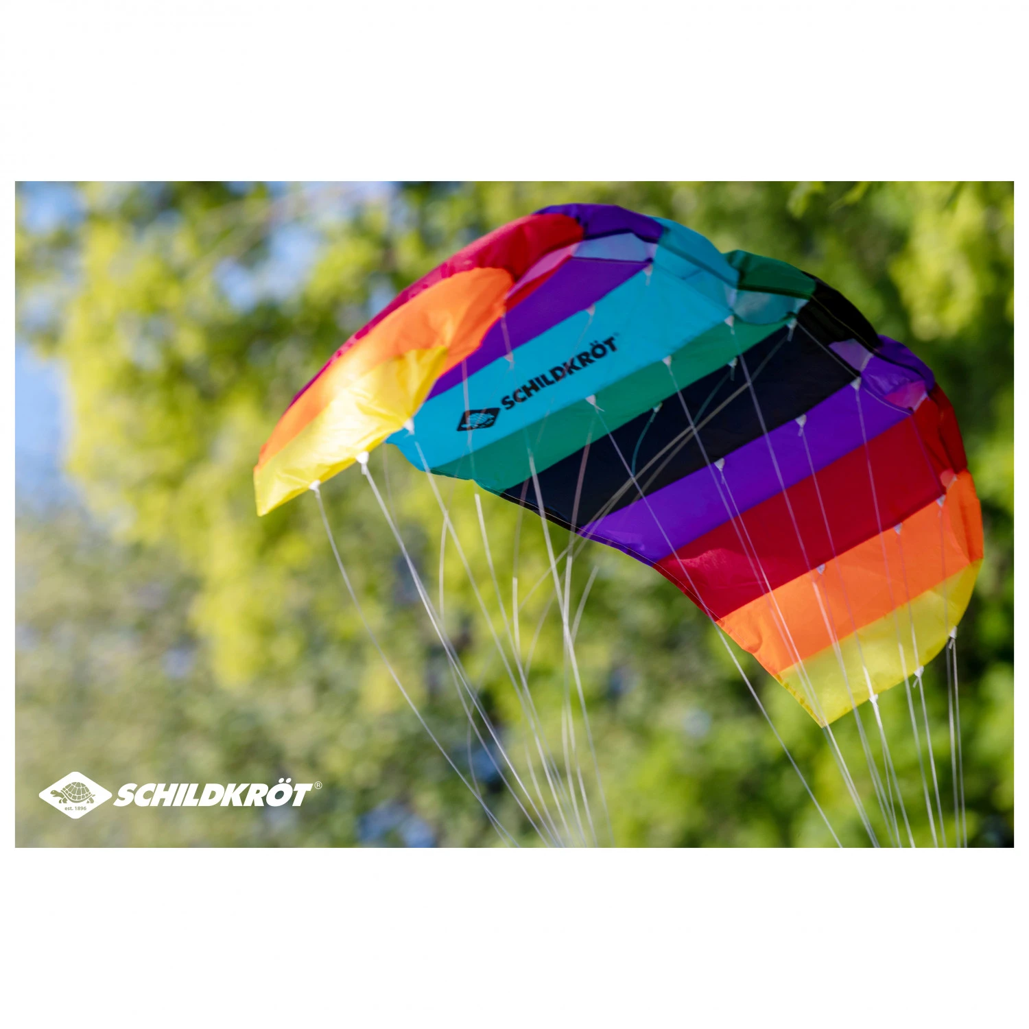 Dual Line Sport Kite 1.3 3 Dual Line Sport Kite 1.3 – Image 3