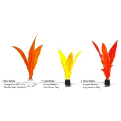 Jazzminton Birdies 6 Jazzminton Birdies -Viandoris Soldes Magasin schildkroet fun sports jazzminton birdies detail 2