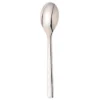 Snow Peak Stainless Dinner Spoon