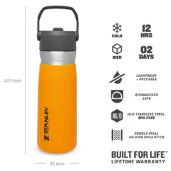 Stanley Iceflow Flip Straw Water Bottle - Bouteille Isotherme 10 Stanley Iceflow Flip Straw Water Bottle - Bouteille Isotherme -Viandoris Soldes Magasin stanley iceflow flip straw water bottle bouteille isotherme detail 4